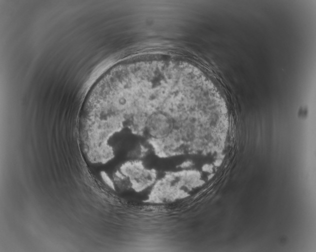 X0000115070099200912081157