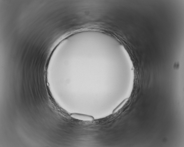 X0000115070100200912081157