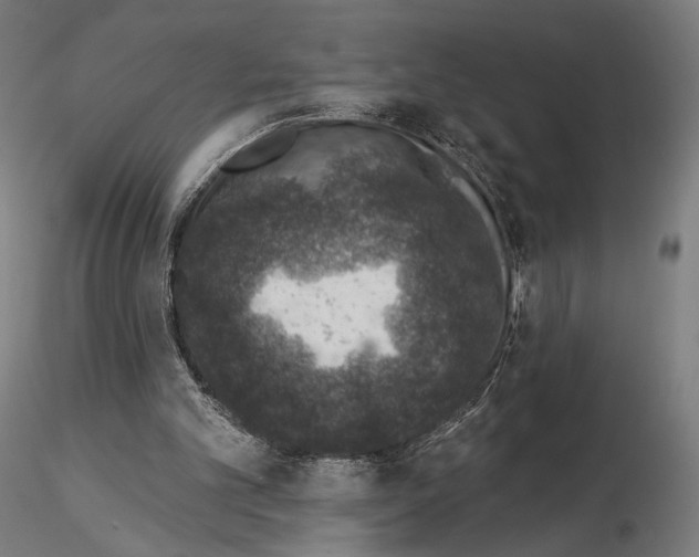 X0000115070101200912081157