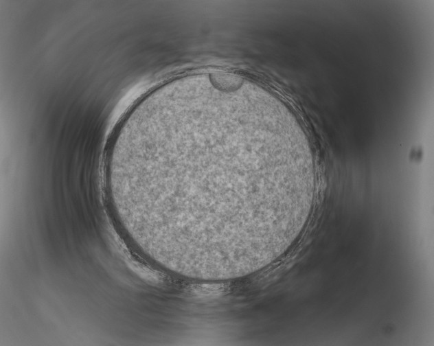 X0000115070102200912081157