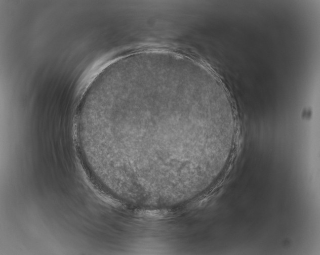 X0000115070103200912081157