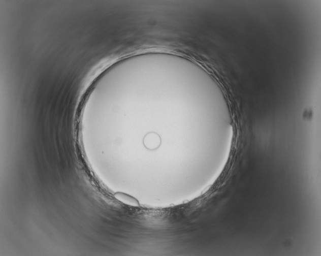 X0000115070104200912081157