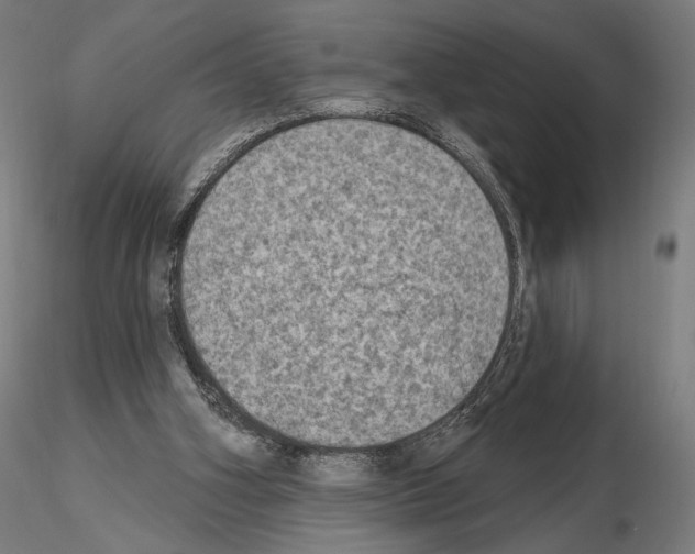 X0000115070106200912081157