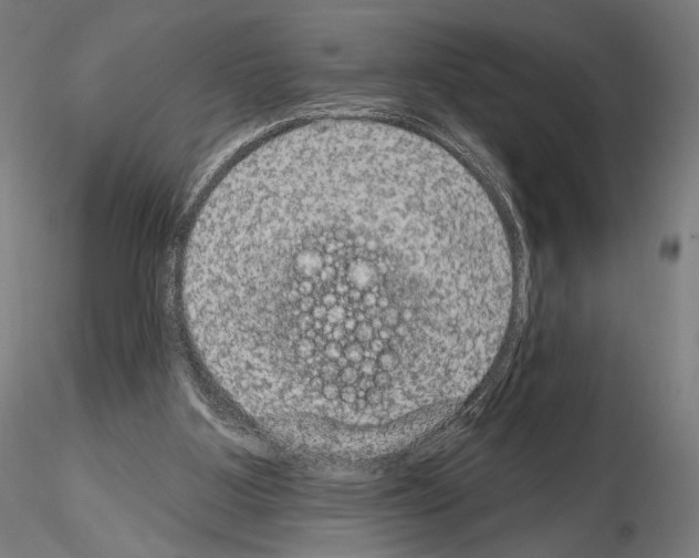 X0000115070107200912081157