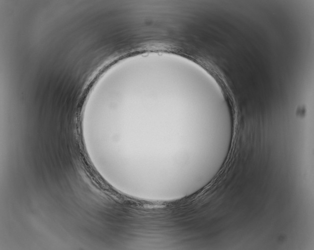 X0000115070108200912081157