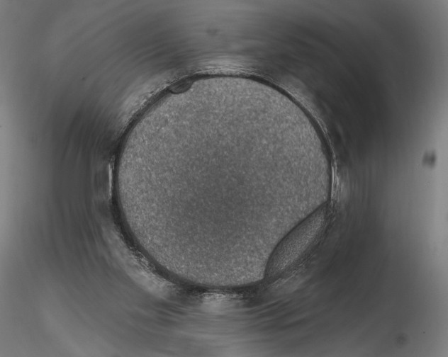 X0000115070109200912081157