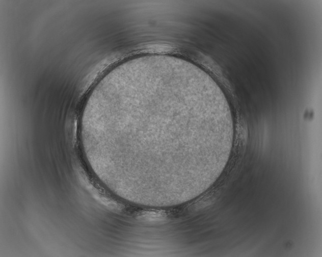 X0000115070110200912081157