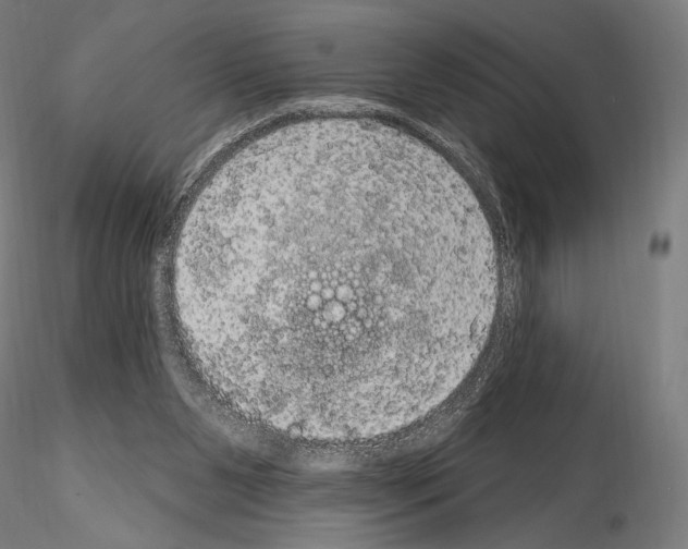 X0000115070111200912081157