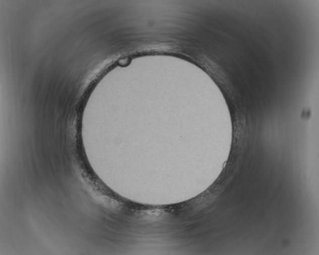 X0000115070112200912081157