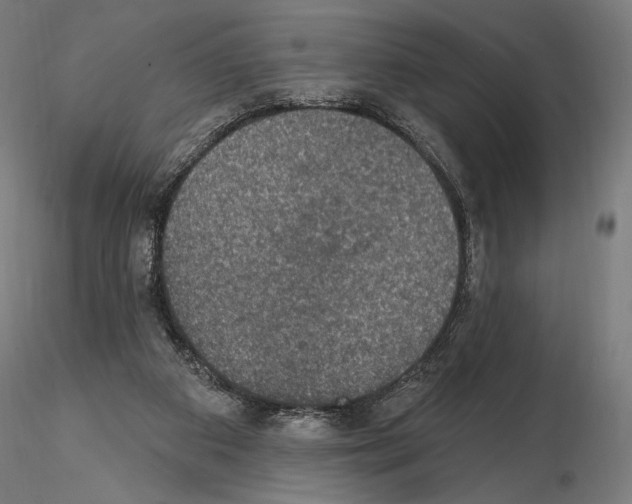 X0000115070113200912081157