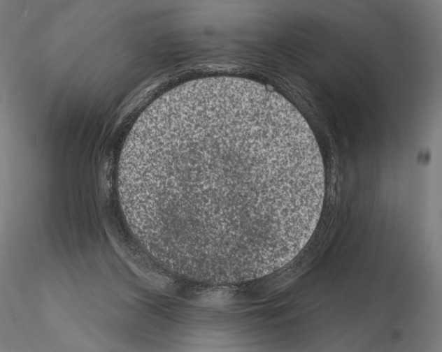 X0000115070116200912081157