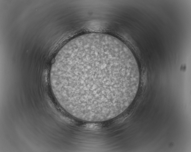 X0000115070117200912081157