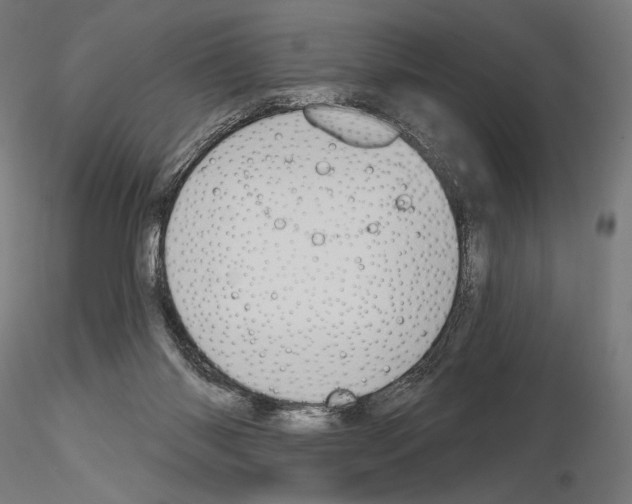 X0000115070118200912081157