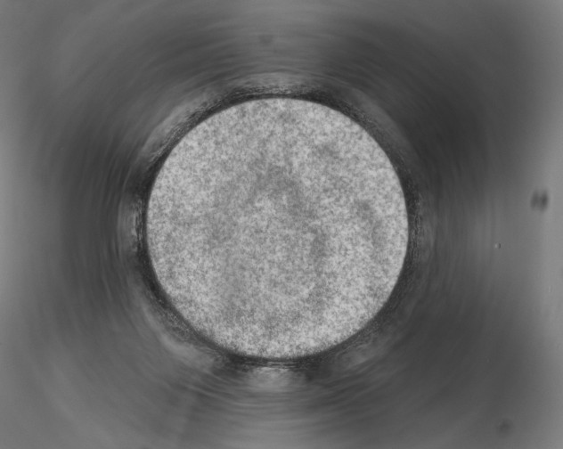 X0000115070119200912081157