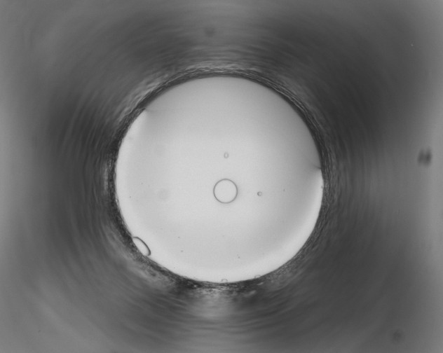 X0000115070120200912081157