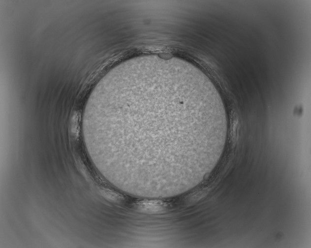 X0000115070121200912081157