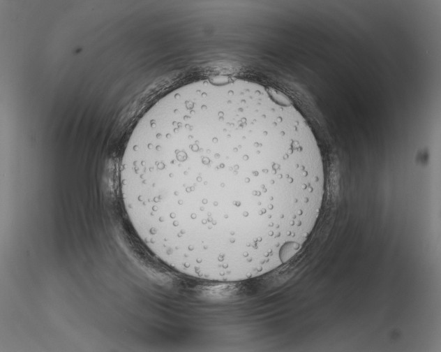 X0000115070122200912081157