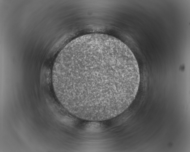 X0000115070123200912081157