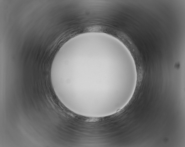 X0000115070124200912081157