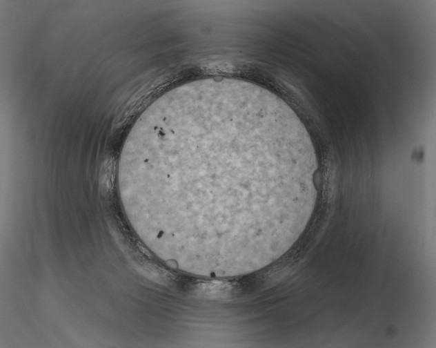 X0000115070125200912081157