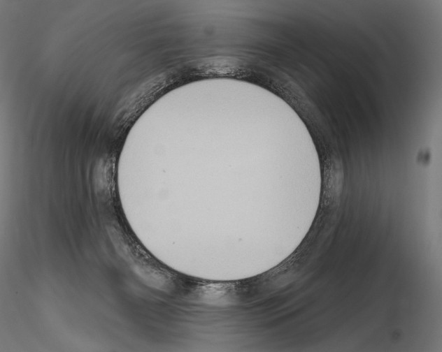 X0000115070126200912081156