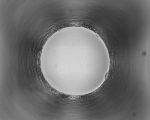 X0000115070128200912081156