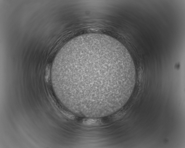 X0000115070129200912081156