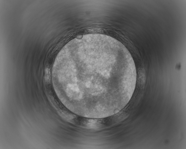 X0000115070130200912081156