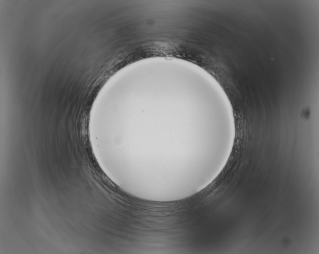 X0000115070131200912081156