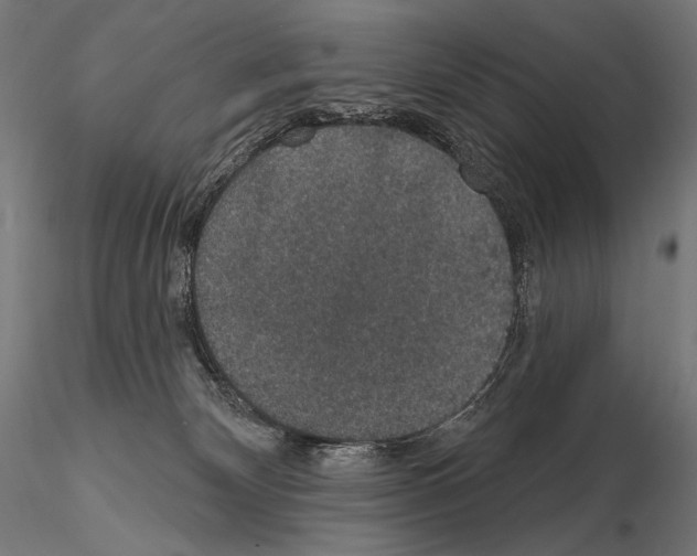 X0000115070132200912081156