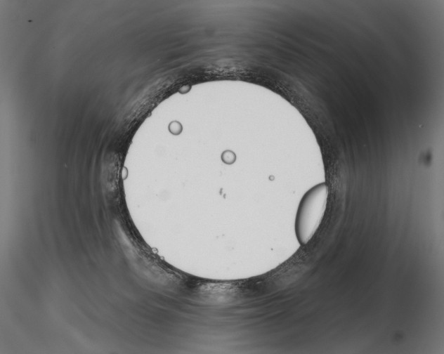 X0000115070133200912081156