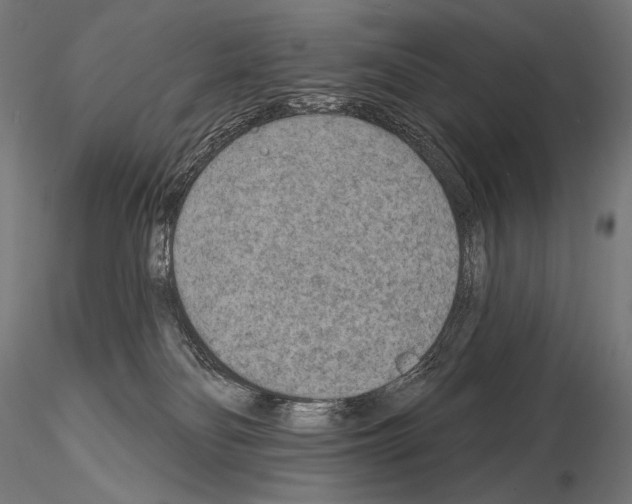 X0000115070134200912081156