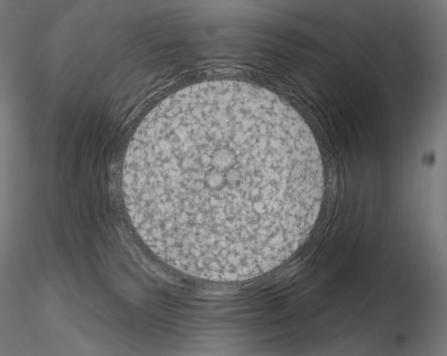 X0000115070135200912081156