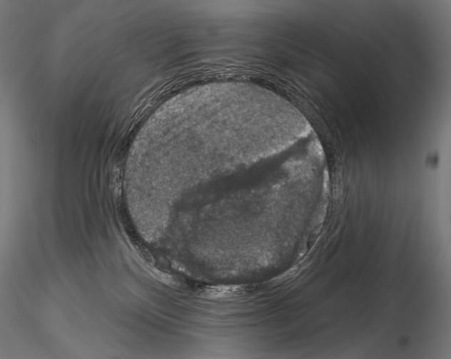 X0000115070136200912081156