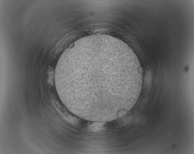 X0000115070138200912081156