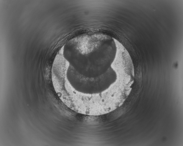 X0000115070139200912081156