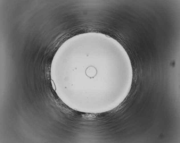 X0000115070140200912081156