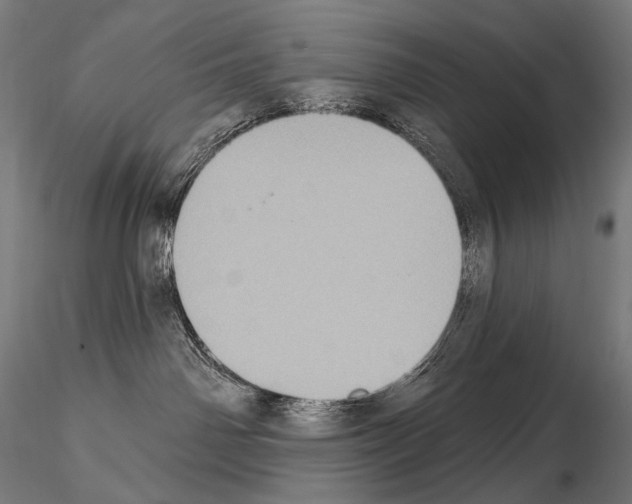 X0000115070142200912081156