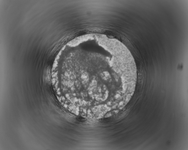 X0000115070143200912081156