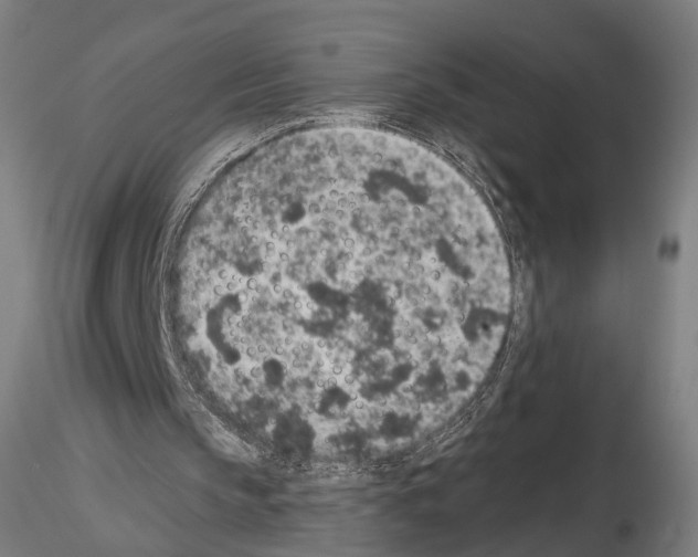 X0000115070145200912081156