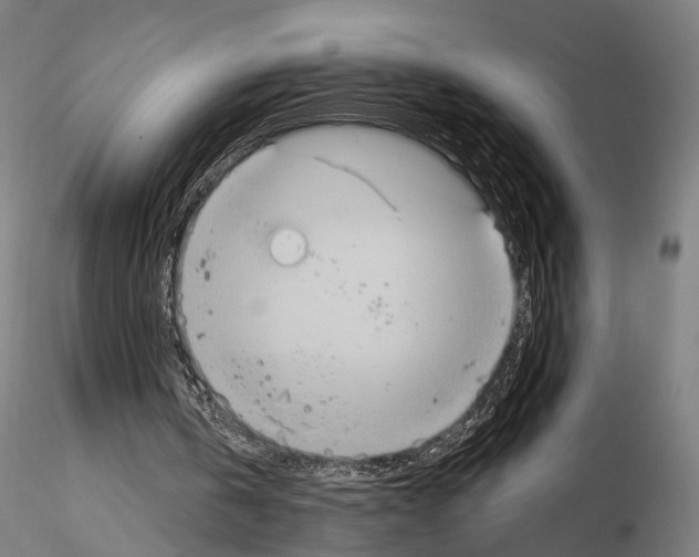 X0000115070146200912081156