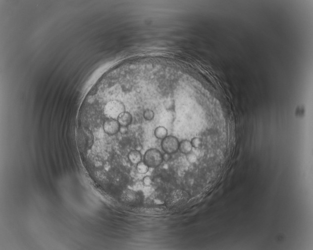 X0000115070147200912081156