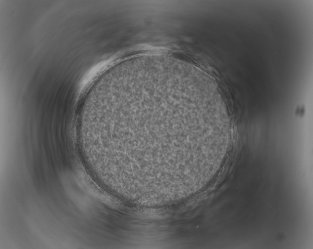 X0000115070149200912081156