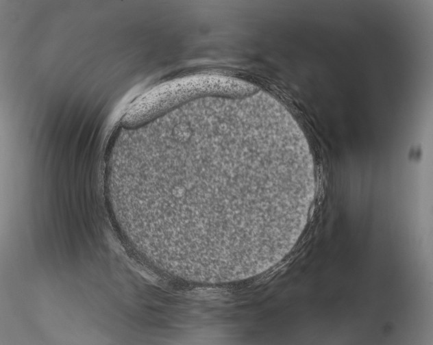 X0000115070150200912081156