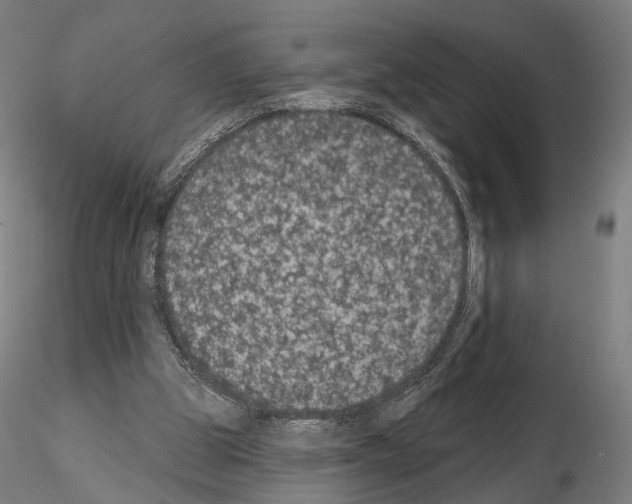 X0000115070153200912081156