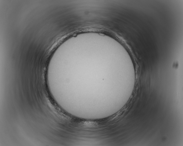 X0000115070154200912081156