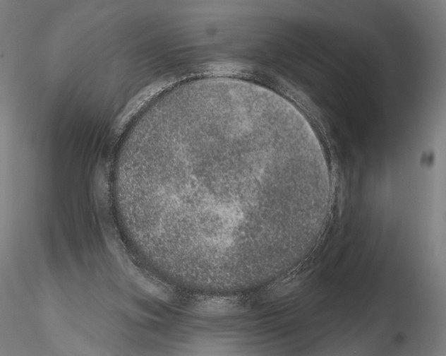 X0000115070155200912081156