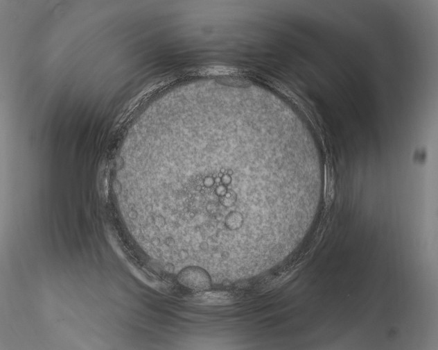 X0000115070157200912081156