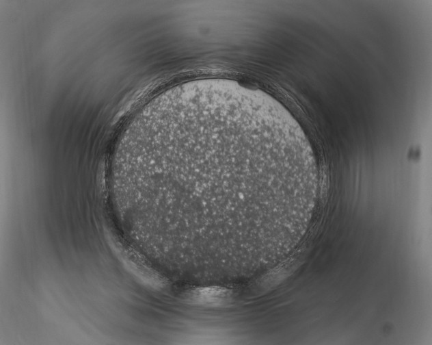 X0000115070158200912081156