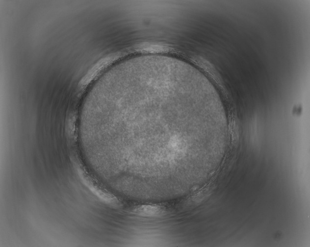 X0000115070159200912081156